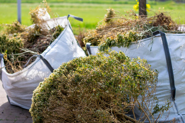 Best Basement Cleanout Services  in Hebron, OH